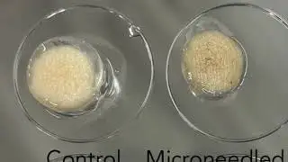 The Science Behind OUMERE | Cellular Skincare Explained by a Biologist