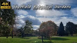 Sheffield Botanical Gardens 2024