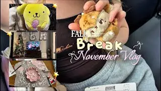 Fall Break Vlog ☃︎⋆꙳🧸*ִ traveling home, friends, seeing Wicked ‧͙*̩̩͙❆ ͙͛ ˚₊⋆☕