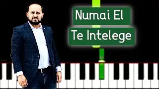 Numai El Te Intelege - Biji din Barbulesti TUTORIAL PIAN + Partitura (Incepatori ) Cristian Chifan
