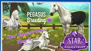 Star Equestrian Vlog [5] Pegasus Breeding Update, MariGold Reveal, Treasure Map hunting