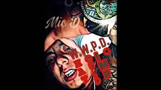 W.W.P.D. - MIC D