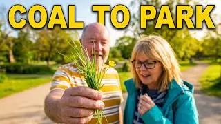 Coal Mine to Country Park: Nature's Ultimate Comeback