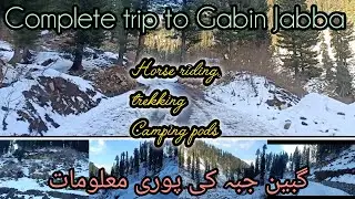 Complete trip to Gabin Jabba from Swat | Gabin jabba in Feb 2025 | Best place in Swat | Trekking |