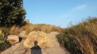 Martin Bell - Martin Bell (Official video)