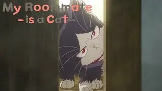 Caretaker | My Roommate is a Cat