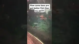 Not fair bass pro