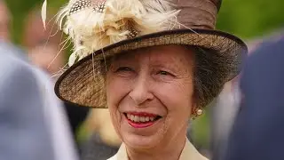 Princess Anne hospitalized with injuries after 'incident,' Palace says