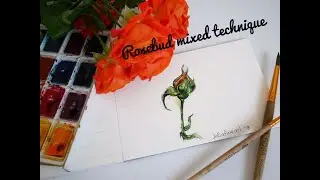 Rosebud || Mixed Techique|| Aquarelle || Julia fine art