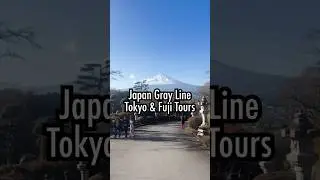 Japan Gray Line in 15 Seconds ✨