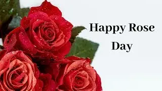 Happy Rose Day whatsapp Status  video|Happy Rose Day | Happy Valentines day |  happy Rose Day  2020