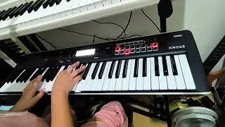 1/2 (Nibun no Ichi) - Makoto Kawamoto | Cover song by Donna Catindig