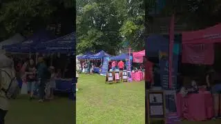 Pride Weekend #pride #pridecelebration #chapelfieldgarden #norwich #norwichcity #uk #travel #short