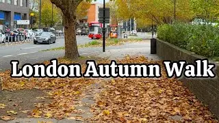 [UK]🇬🇧 London Autumn 🍂 Walk | Colourful Walk 