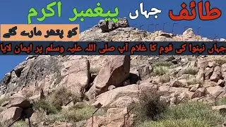 Taif: The City Where the Prophet Faced Stones and Found Faith in a Servant