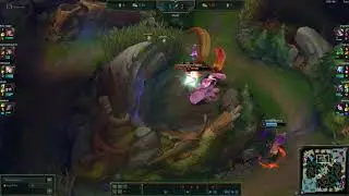 Lillia Highlights