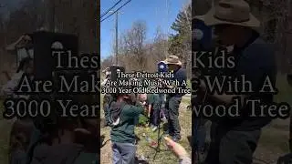 Detroit Kids Make Music With A 3000 Year Old Redwood Tree #cosmicknot #archangelancienttreearchive