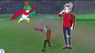 Pokemon Wild Area chasing and WTF moments