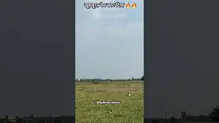 Kite cutting, kite catching tips, ankit kite fighting, basant kites flying #shorts #shortsfeed