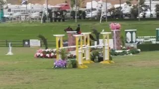 Cognac clean and 3rd in the 1.25m jumper speed