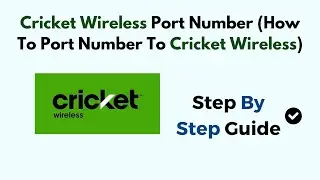 Cricket Wireless Port Number (How To Port Number To Cricket Wireless)