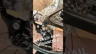 MY2024 LIV AVAIL ADVANCED 2