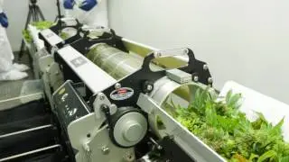 Twister T4 / Wet -- Running two units in tandem
