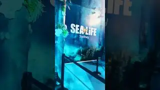 Sea Life Sydney Aquarium | Dec 2025 | From Penguins to Sharks - Full tour #shorts