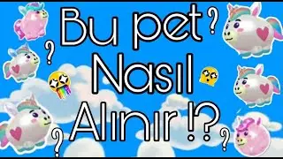 Pkxd Bu pet nasıl alınır/ İlk gösterilen kanal?!