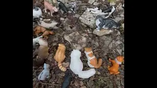 My cringey old warrior cat's series | Thorn clan Woodpeckers (Ep.3)