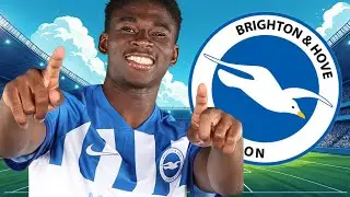 The Wonderkid Factory - Brighton - FM24 - Football Manager 2024