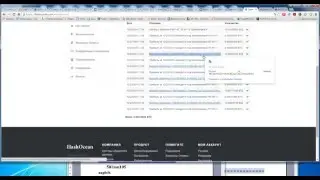 hashocean.com Стабильная работа просто радует.