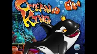 Ocean King Fish Arcade Game - Explanation of Game & Machine