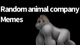 5 minutes of Animal company memes ￼