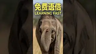 Baby Elephant Learns to Use Its Trunk | Cutest Wildlife Moment