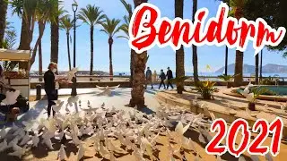 Benidorm 2021 January Poniente beach Costa Blanca Spain Walking Tour 4K