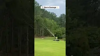 High winds storm damage - tree removals #treeservice