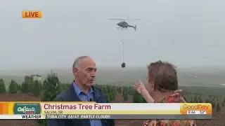 Your Produce Man - Oregon Christmas Trees