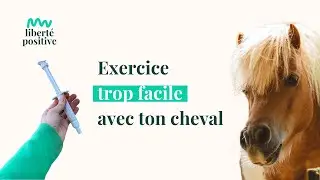 1 exercice &laquo;&nbsp;trop&nbsp;facile&nbsp;&raquo; &agrave; faire avec ton cheval - clicker training