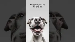 Ищите риэлтора в Торонто, которому можно доверять?#property