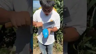 China's most unique mango cultivation 🤯