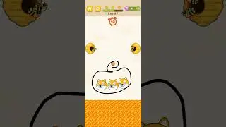 I save my dog very well
