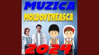 Colectie de MUZICA MOLDOVENEASCA 2024