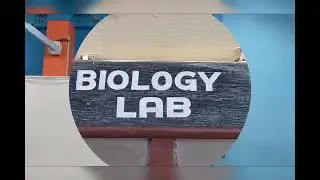Lakes International school Bhimtal Nainital