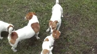 MOV01D