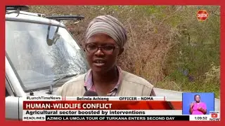 Beehive fencing technique keeping elephants at bay in Taita Taveta
