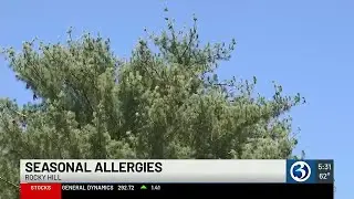 Pharmacist talks about misconceptions regarding allergies