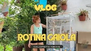Rotina com as Calopsitas - VLOGZÃO -  CALOPSITA NEWS