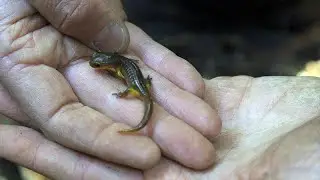 Campus Natural Reserve: Where Learning Comes Alive