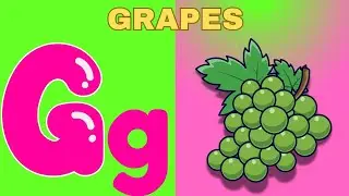 The Letter G Song | G for Grapes | Learn The Alphabet   | Phonics | TINY TRIBE LEARNERS